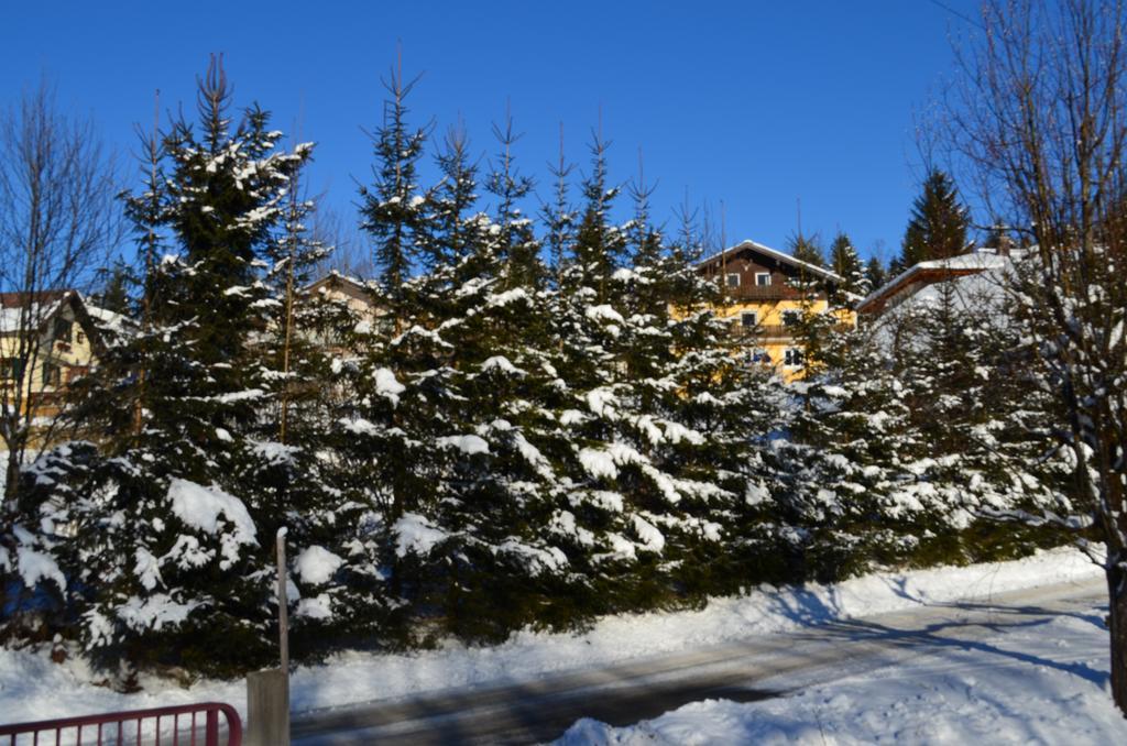 Alpengasthof Dollerhof Hotel Abtenau Exterior foto